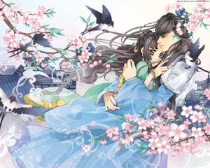 日韩 自动跳转导航